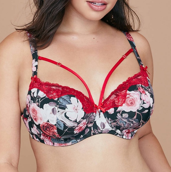lane bryant bras